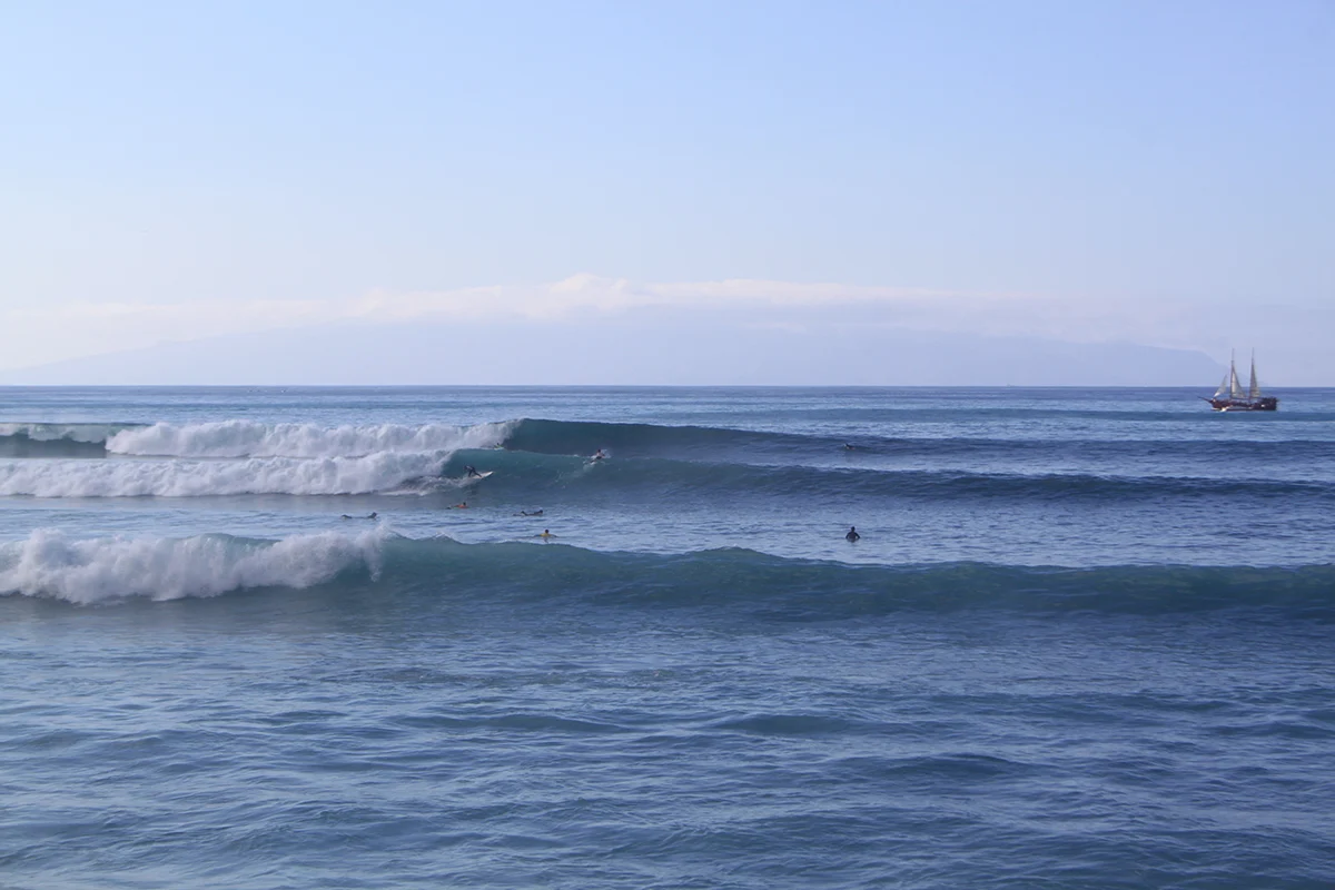 Waves Playa Las Americas Tenerifesurf.camp